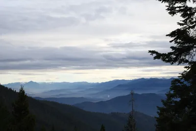 DSC_0069 (Large).JPG